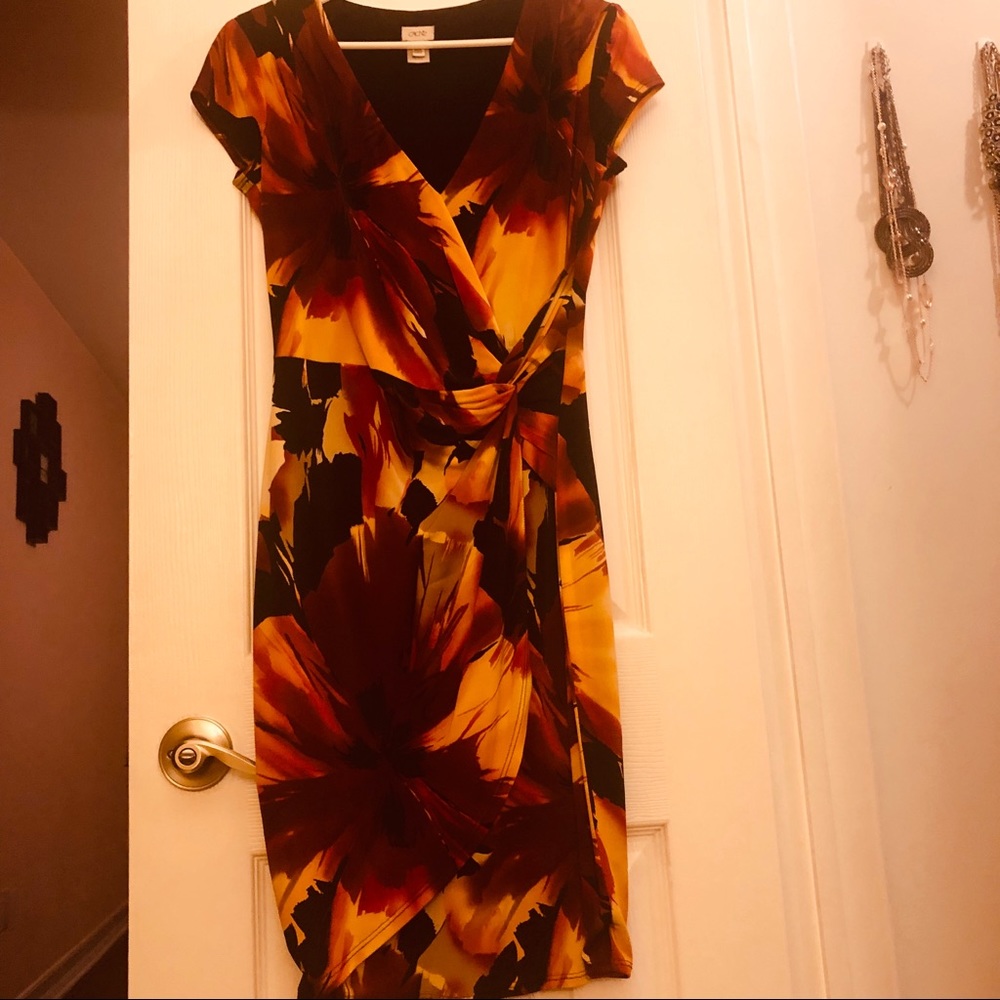Beautiful Cache summer dress.
